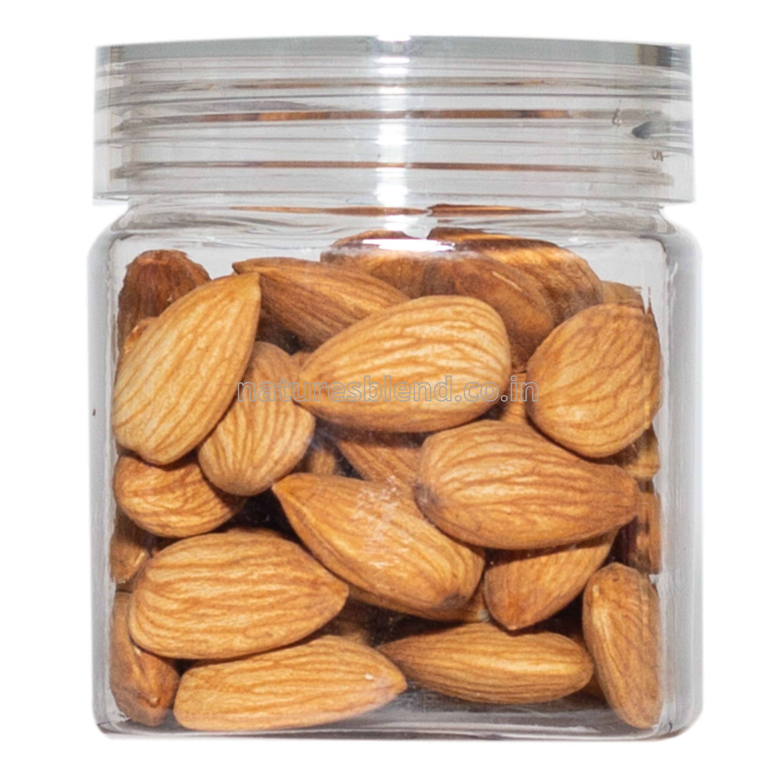 Nature’s Blend Almond Jumbo Selected 100g Jar