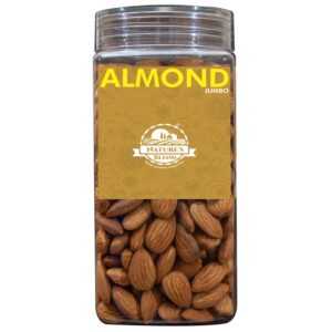 Nature’s Blend Almond Jumbo Selected 500g Jar