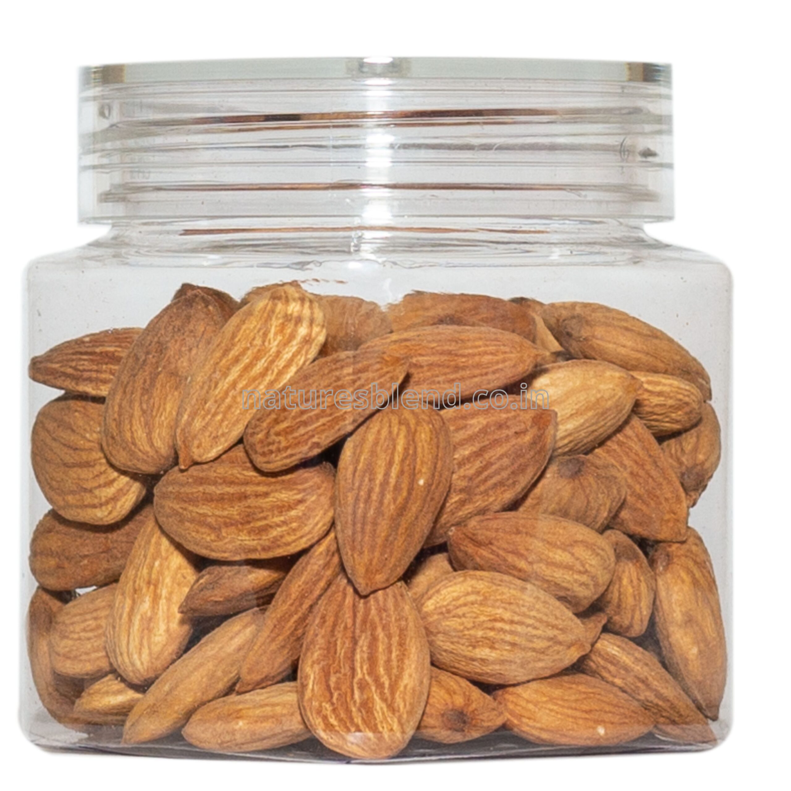 Nature’s Blend Almond Selected 100g Jar