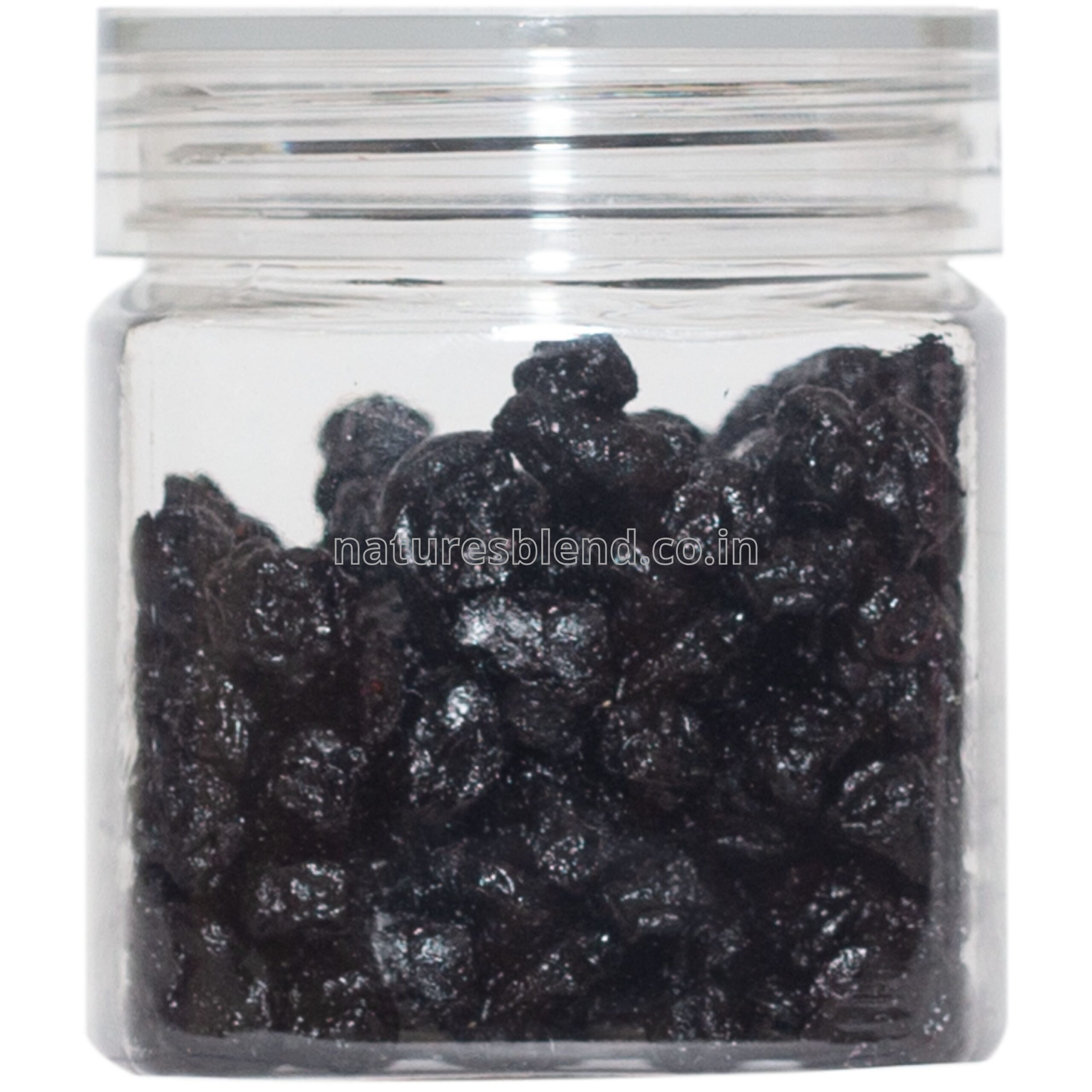 Nature’s Blend Blueberry Whole Selected 100g Jar