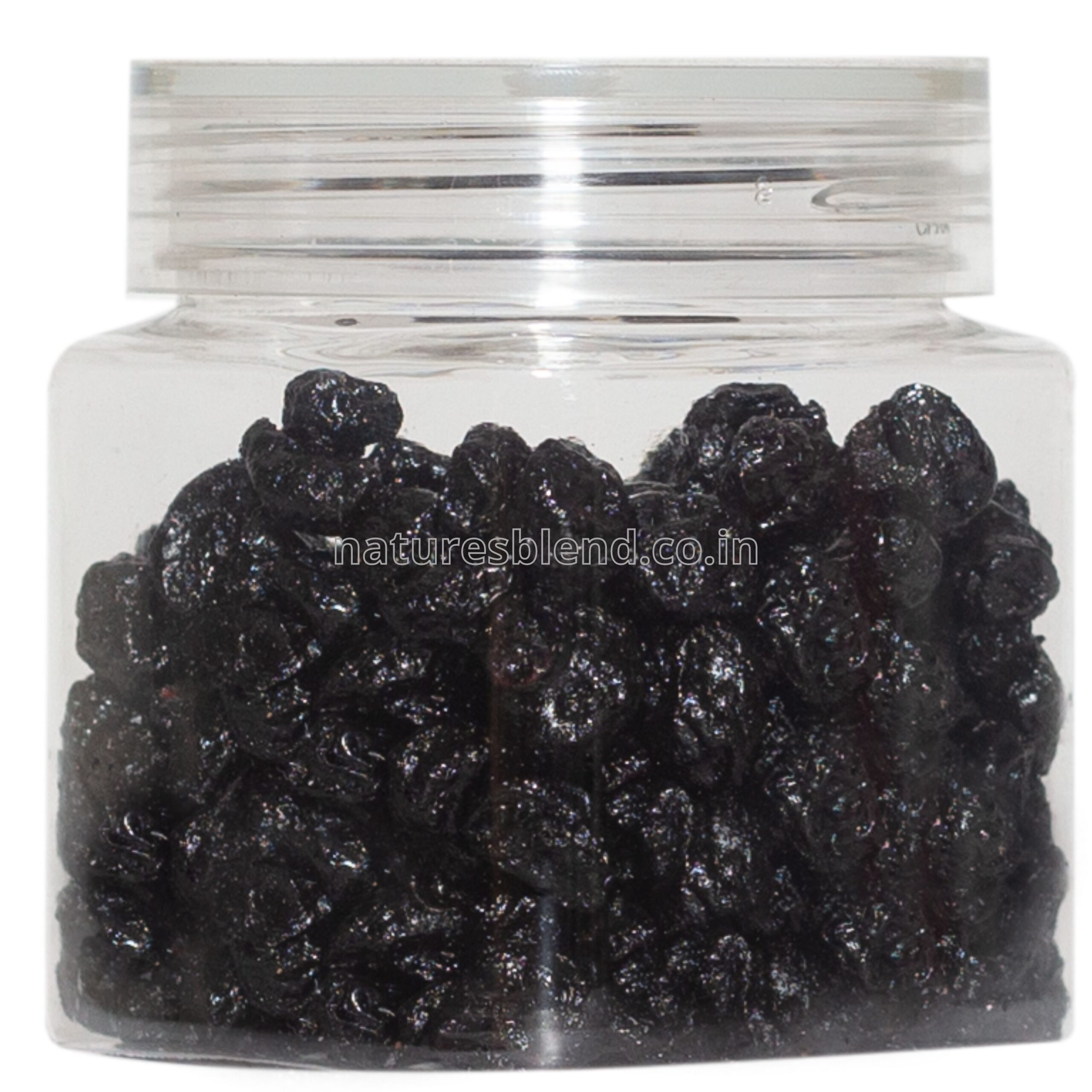 Nature’s Blend Blueberry Whole Selected 100g Jar