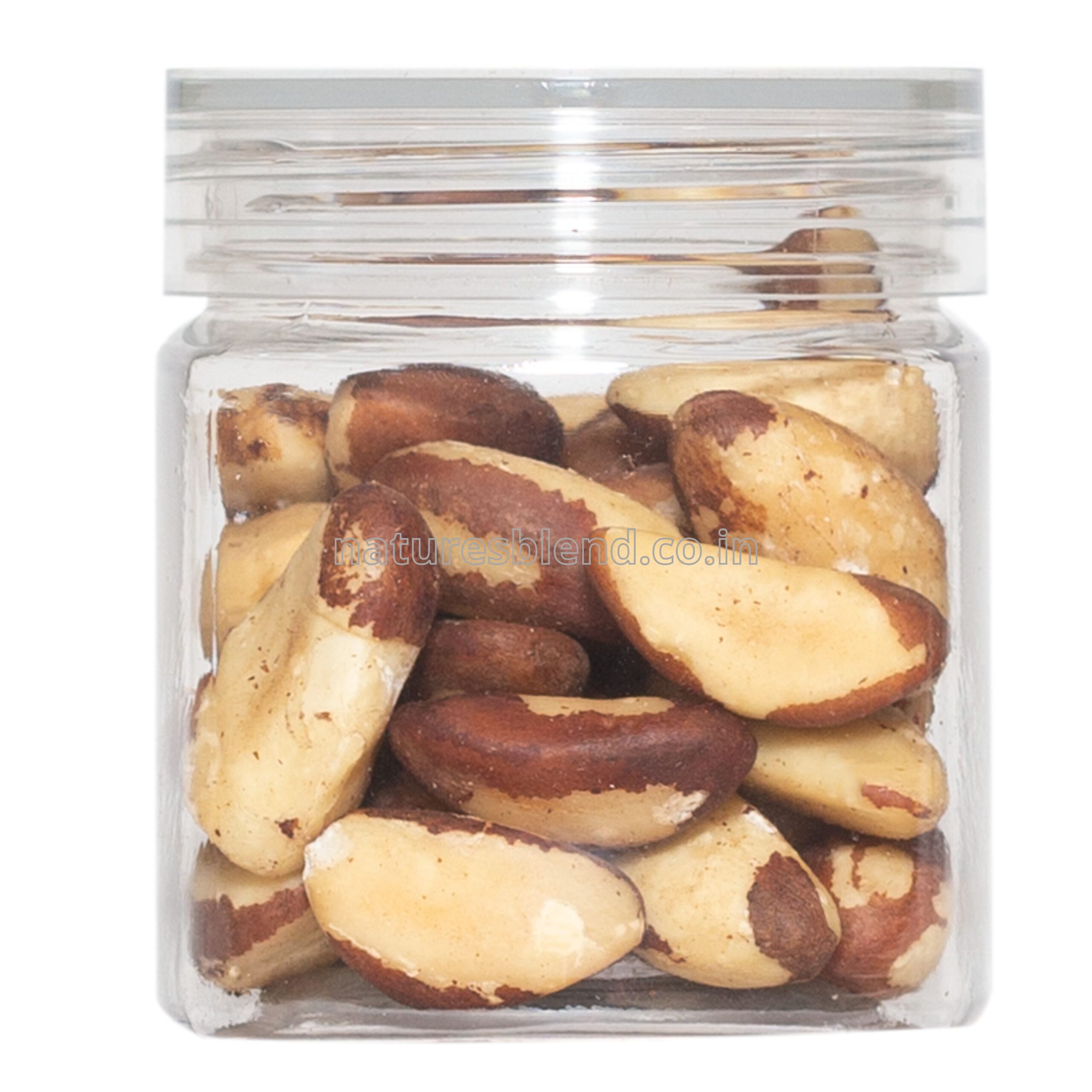 Nature’s Blend Brazil Nut Selected 100g Jar