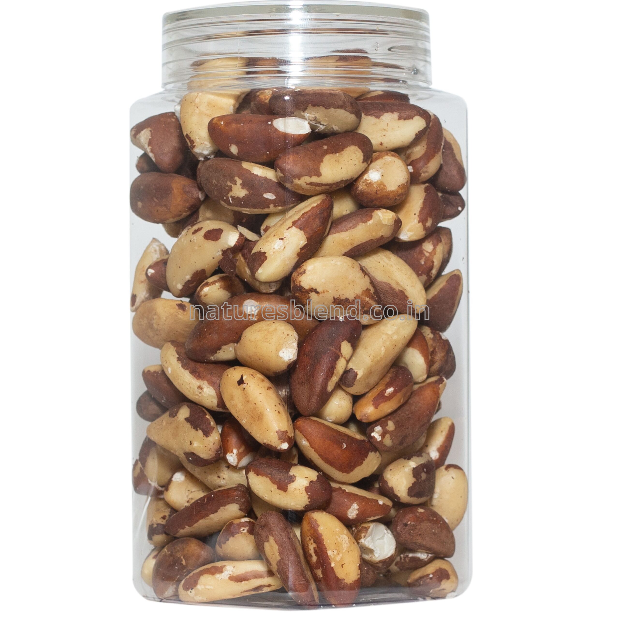 Nature’s Blend Brazil Nut Selected 500g Jar
