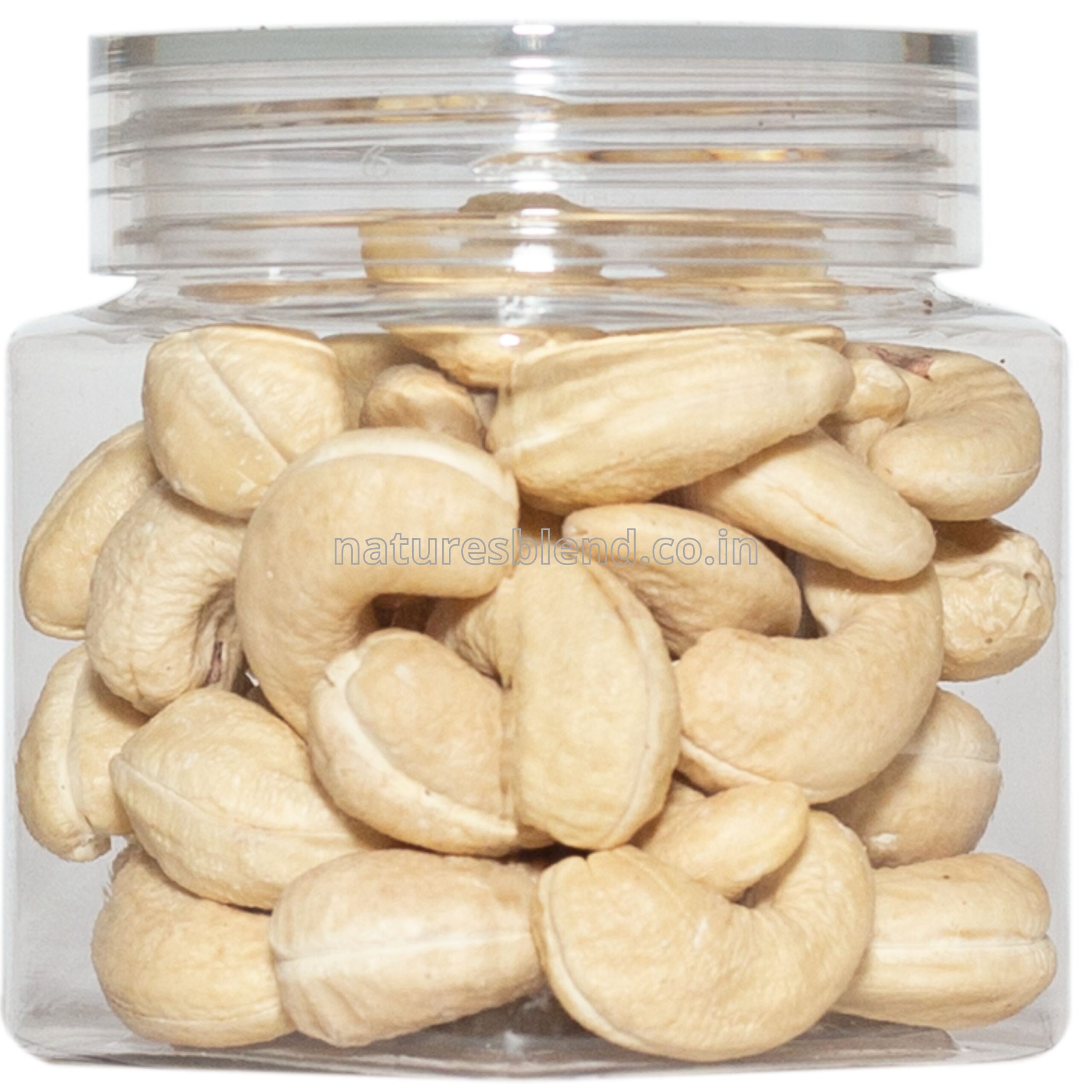 Nature’s Blend Cashew Jumbo Selected 100g Jar
