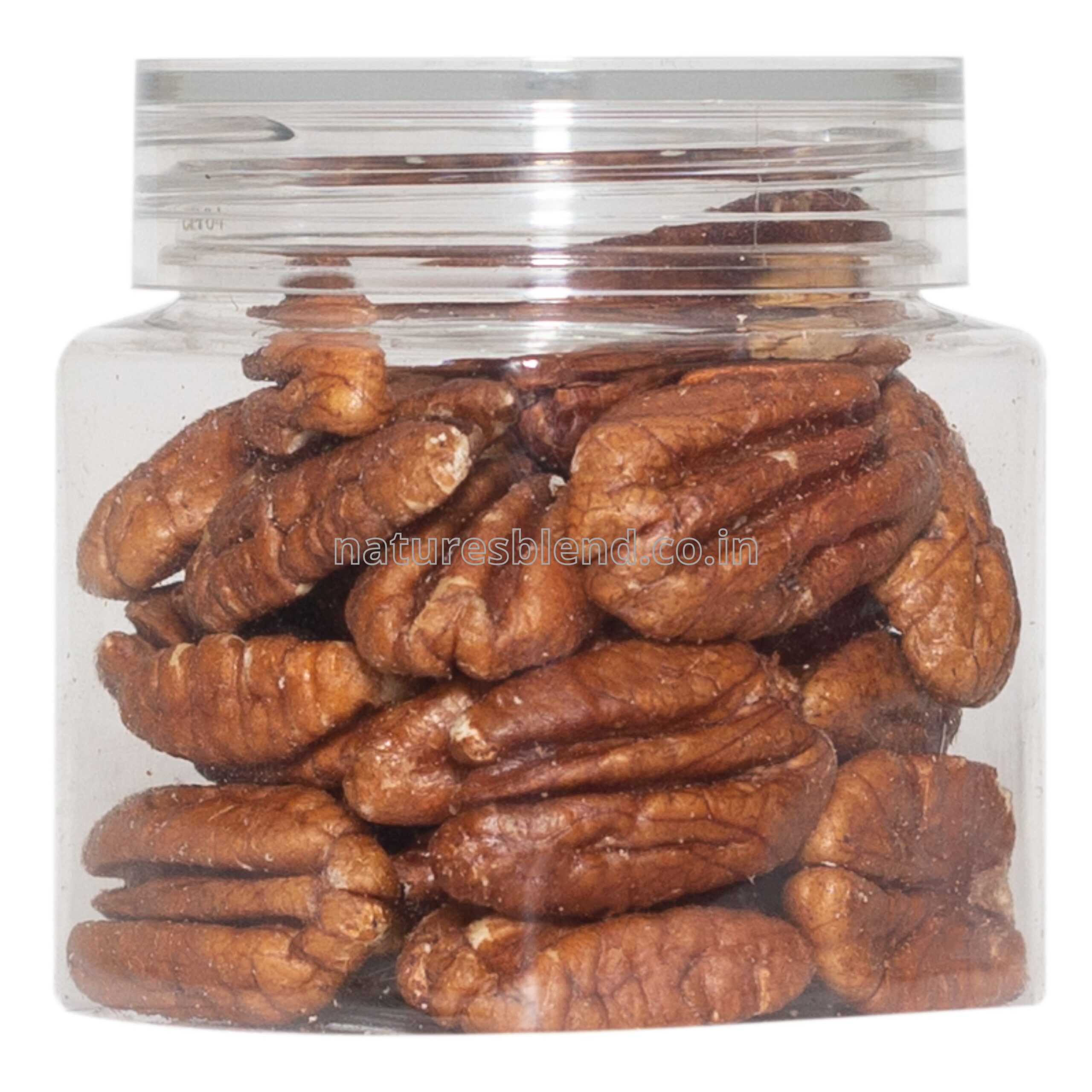 Nature’s Blend Pecan Nut Selected 100g Jar