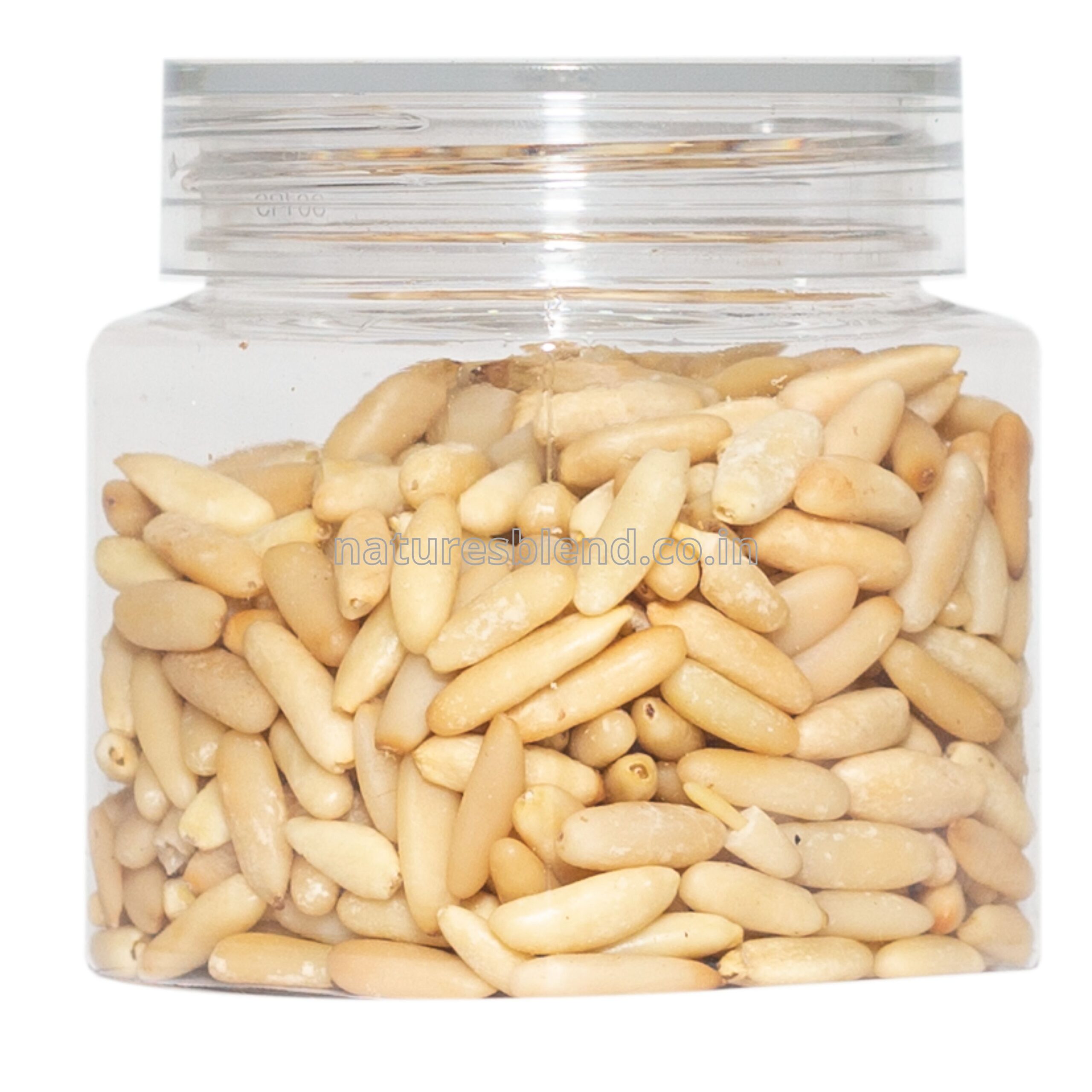 Nature’s Blend Pine Nut Selected 100g Jar