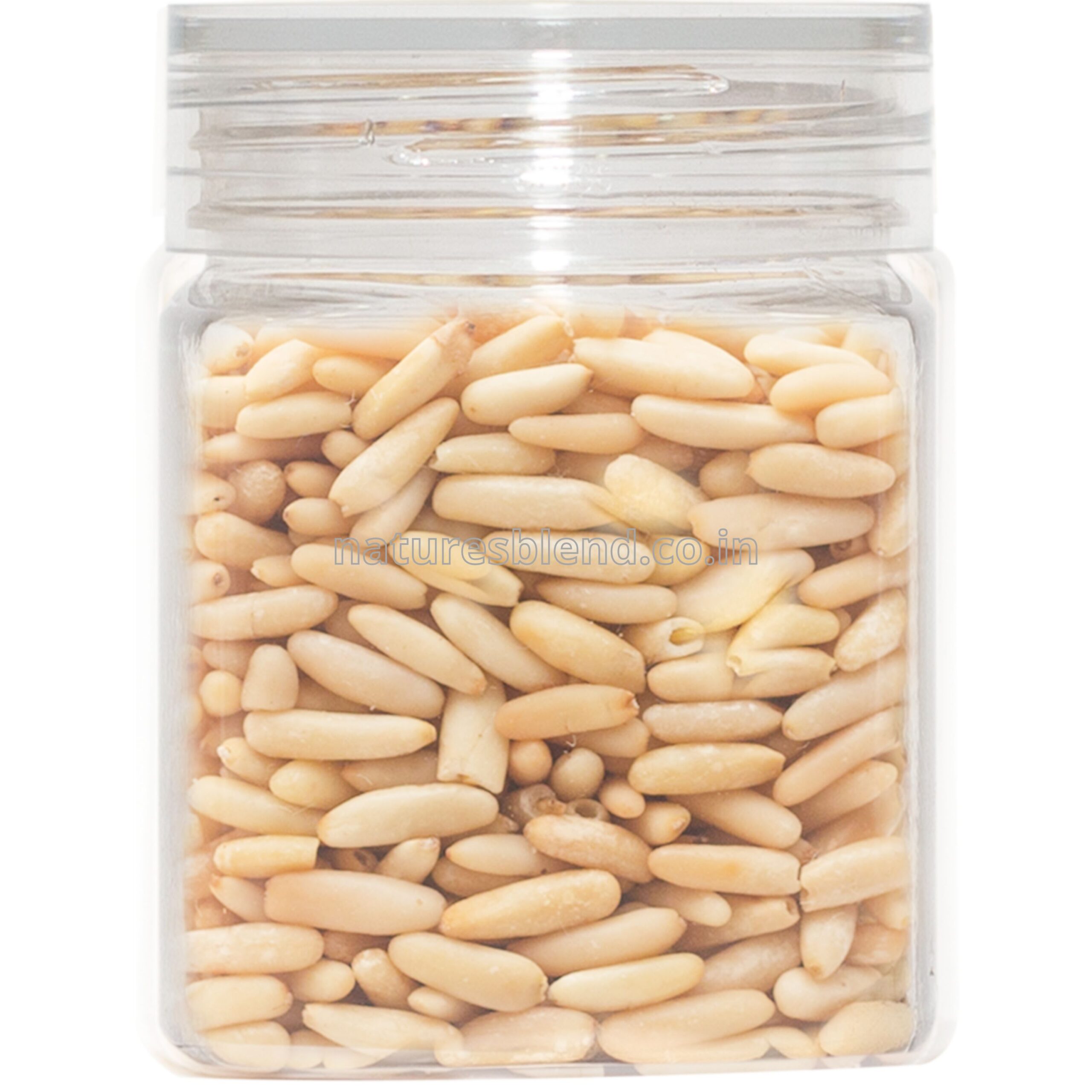 Nature’s Blend Pine Nut Selected 250g Jar
