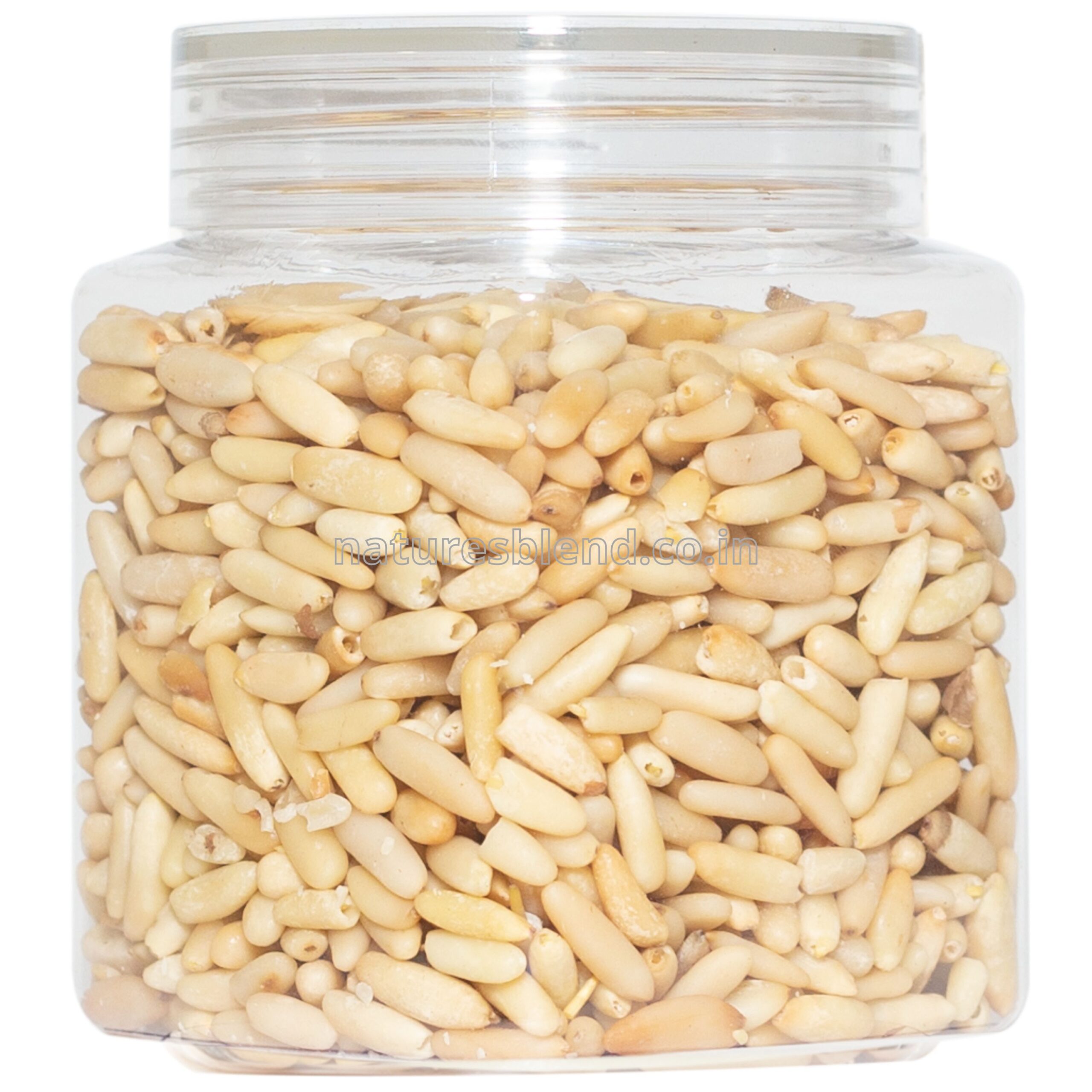 Nature’s Blend Pine Nut Selected 250g Jar