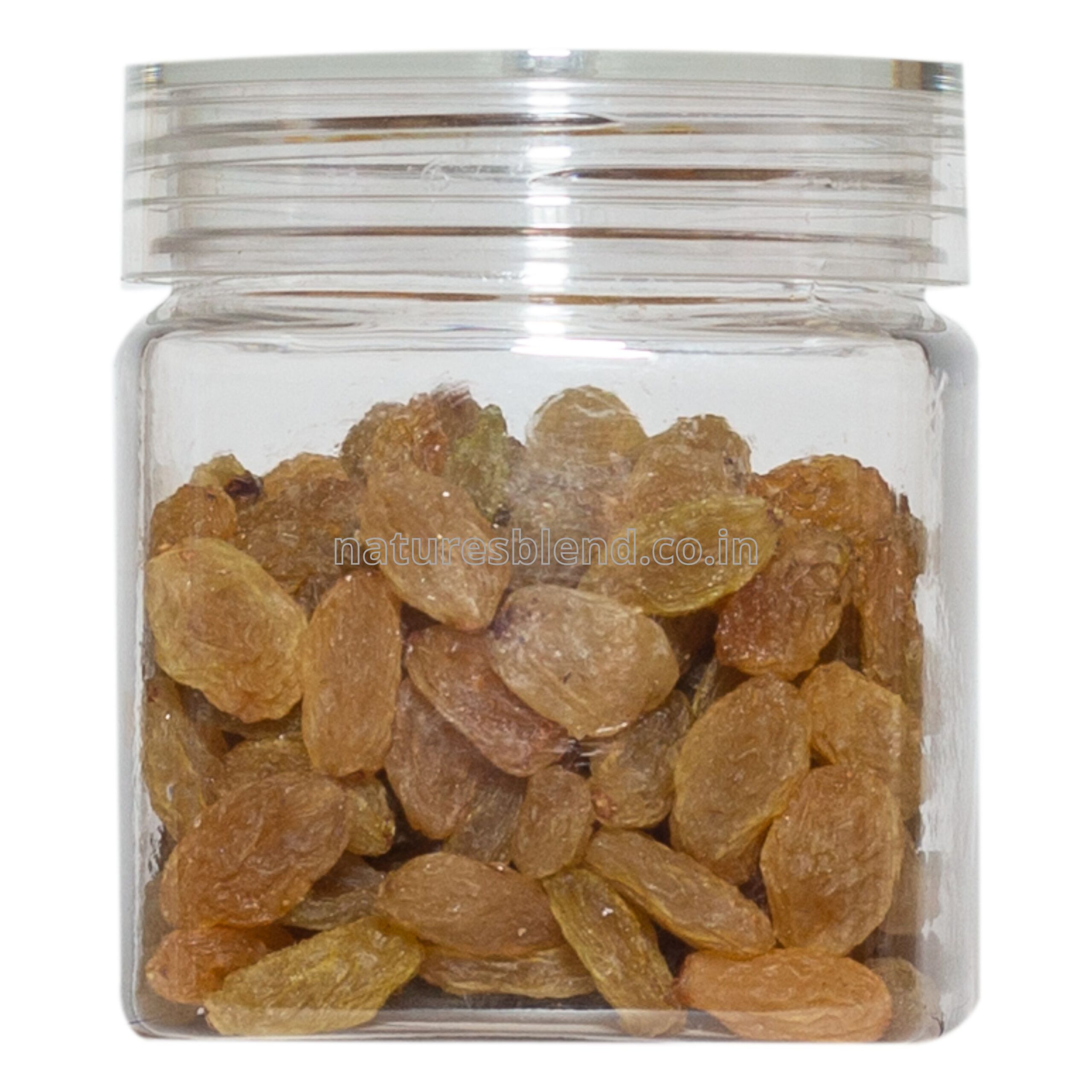 Nature’s Blend Raisins Selected 100g Jar