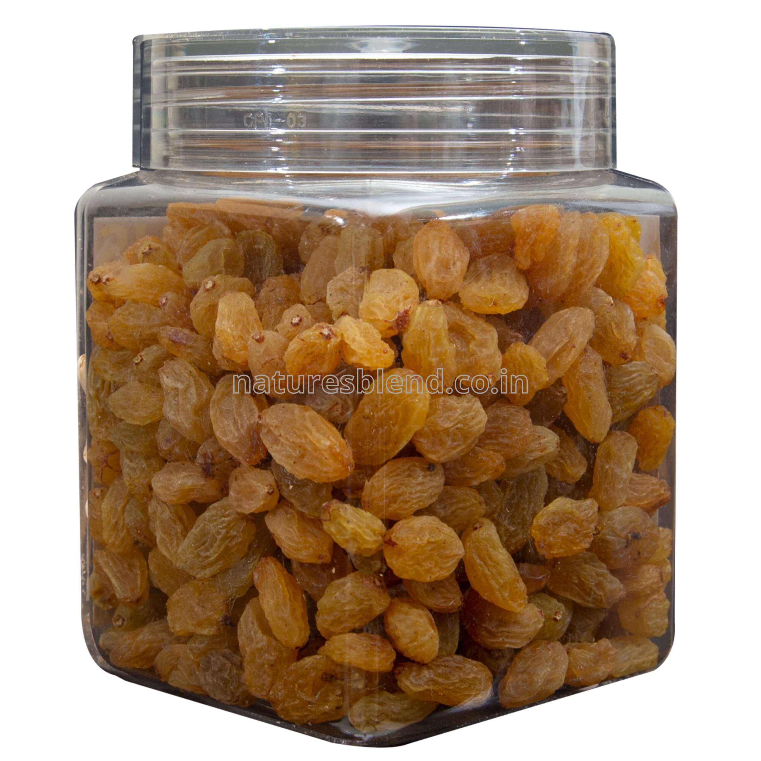 Nature’s Blend Raisins Selected 250g Jar