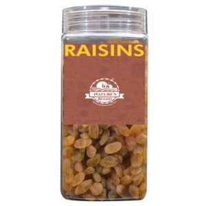 Nature’s Blend Raisins Selected 500g Jar